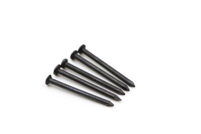 China Black zinc plated concrete nail for sale