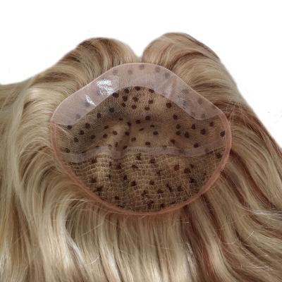 China 100% Indian Remy Hair Human Hair Wig Highlight Color Skin With Fishnet Wigs for sale