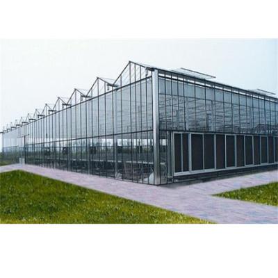 China Venlo High Quality Multi-span Glass Greenhouse With Hydroponic System For Agriculture Price for sale