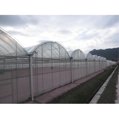 China Intelligent Venlo Glass Greenhouse With Protection And Fan Cooling System for sale