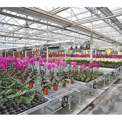 China Venlo Venlo Shape Roof Fixed Vent Agricultural Glass Greenhouse Price for sale