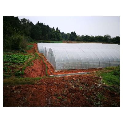 China Anti Aging Cheap Single Span Tunnel Film Greenhouse With Arch Shape For Sale for sale