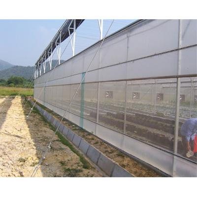 China Anti Aging Economic Agricultural Mushroom Used Film Greenhouse for sale