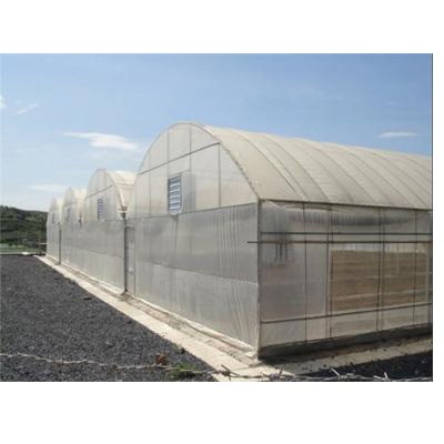 China Hot Sale Discount Easily Assembled Multi-span Economical Greenhouses for sale