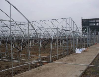 China Seamless, High Quality Galvanized Steel Structure Pipe Tubes And Pipes For Greenhouse Frame Price for sale