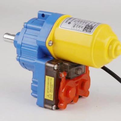 China DC 24V Greenhouse Plastic Film Electric Wind Up Motor Small for sale