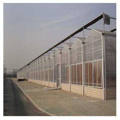 China Dome.Venlo Wind Resistance Modular Design Garden Polycarbonate Sheet Greenhouse for sale