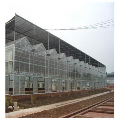 China Dome.Venlo desert and semi-arid greenhouse for tomato lettuce strawberry for sale