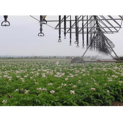 China Water Saving China Drip Irrigation Systems Greenhouse Supplies For Agriculture for sale