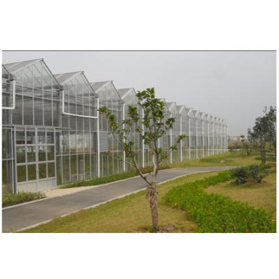 China Dome.Venlo low cost agricultural hydroponic glass greenhouse for growing strawberry/tomato/lettuce/cucumber for sale