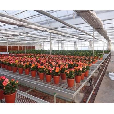 China High Quality Energy Saving Solar Powered Greenhouse for sale