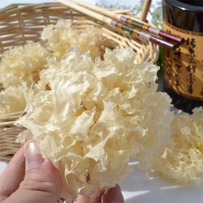 China Dried Cheap Popular Herbal Tremella for sale