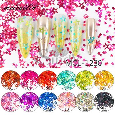 China Star Nail Sequins 12 Colors Star Shape Nail Sequins Different Size Mixed Nails Art Decorations Accessories for sale