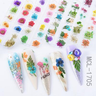 China Professional Wholesale Nail Art New Pressed Dried Flowers Nail Art Stickers Decals Natural Dried Flowers Nail Charms for sale