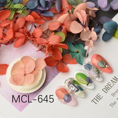 China Dry Nail Art Floral Leaf Nail Art 3D Nail Art High-Grade Natural Beauty Pressed Flower Sticker Nail Decoration Stickers for sale