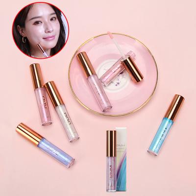 China Waterproof Dnm 6 Colors Matte Liquid Lasting Polarized Optional Stylish Custom Lip Gloss for sale