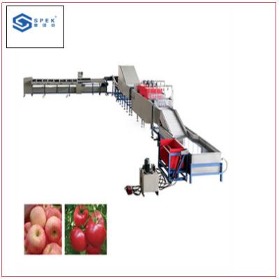 China Tomato/Avocado/Orange/Apple Weight Sorting Machine and Weight Grading Machine for sale