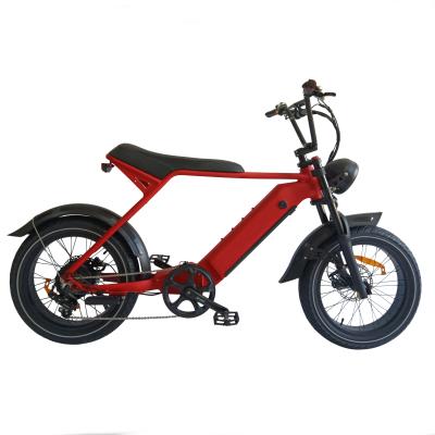 China Queene aluminum alloy / 20 inch low step by hidden electric bicycle fat tire lithium battery electric bike for sale