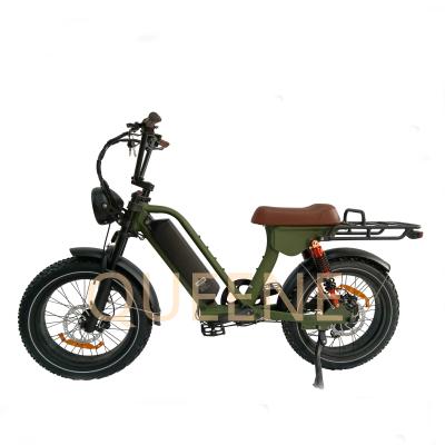 China Aluminum alloy Queene/fat750W e bike dual battery full suspension electric bicycle roller moped 45km/h motor electric snow for sale