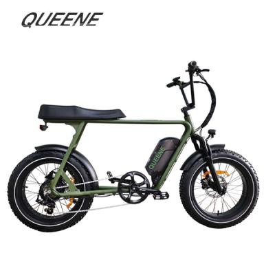 China Aluminum alloy 20 inch fat tire 48v750w electric bicycle snow ebike beach cruiser ebike for sale