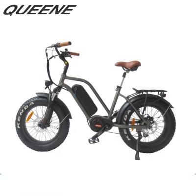 China 2019 aluminum alloy QUEENE/electric fat bikes beach e bicycle snow electric ebike for sale