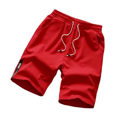 China New 2022 Summer Anti-wrinkle Beach Men's Sports Pants Casual Shorts Men's Straight 5 Point Pants for sale