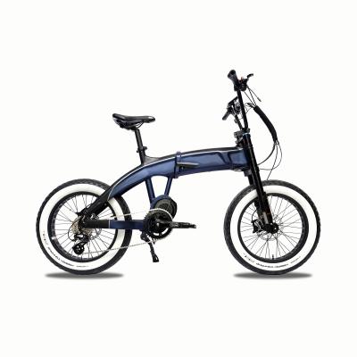 China Aluminum Alloy 20inch Fat Tire Mid Motor Big Power Suspension Fork Hydraulic Dic Brake 750W/1000W Ebike for sale