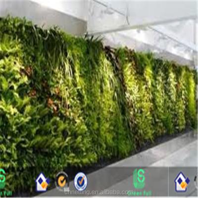 China 2018 NEW Tempered Glass HDPE + Factory UV Artificial Wall , Leaves Wall /artificial Green Fake Wall for sale