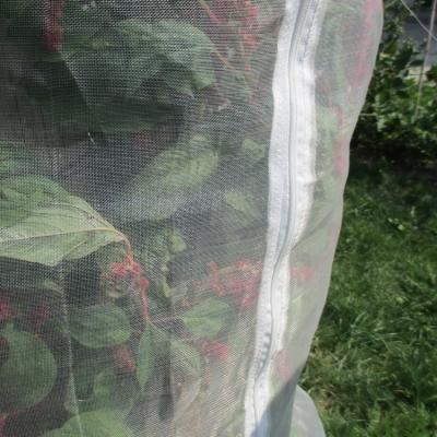 China Closed With Zipper Anti-insect Net Tent With Zipper For Cover Fruit Tree Protection Mesh Bag for sale