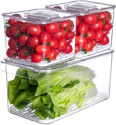 China Freshness Preservation Refrigerator Storage Bin Box Jiaozi Egg Food Storage Box Kitchen Food Vegetable Sorting Fruit for sale