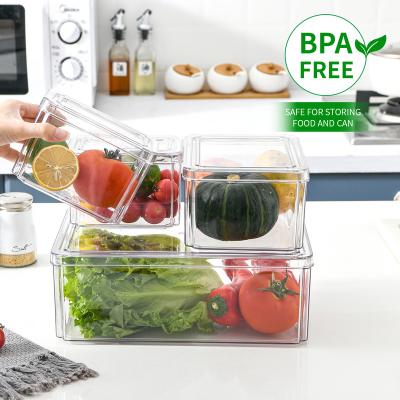 China Freshness Keeping PET Storage Box For Kitchen Organizer Fruit Vegetable Box Food Storage Box Fresh-keeping Bins for sale