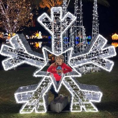 China Outdoor 3D LED Static Or Twinkle Arch Snowflake Pattern Light Large For Garden Christmas Light Decoration Display for sale