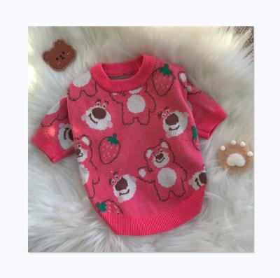 China Strawberry Bear Designer Warm Luxury D Super Cute Dog Sweater for sale