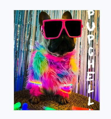 China Viable fashionable design street style cool dog clothes environmental protection fur pet sweater hot wholesale for sale