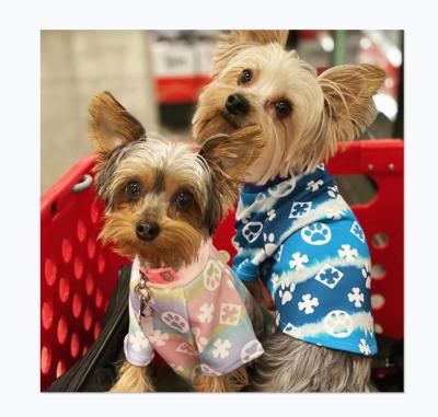 China Street Fashion Design Dog Paw Design And Correct Spelling Cute Stocked Pet Clothes Luxury Big Dog T-shirt for sale