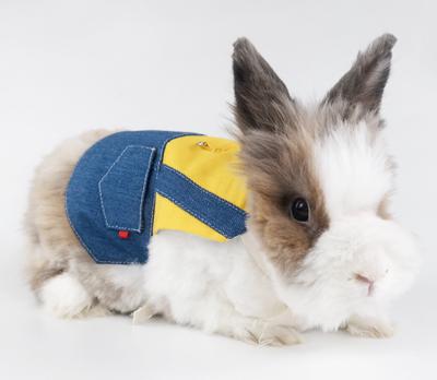 China Viable Pet Bunny Clothes Pull Rope Rabbits Kittens Cats Accessories Costumes for sale