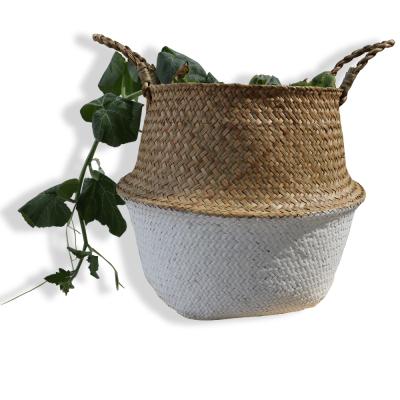 China Amazon Sustainable Success Woven Seaweed Belly Baskets Storage Plant Baskets & Laundry, Picnic & Grocery Baskets for sale