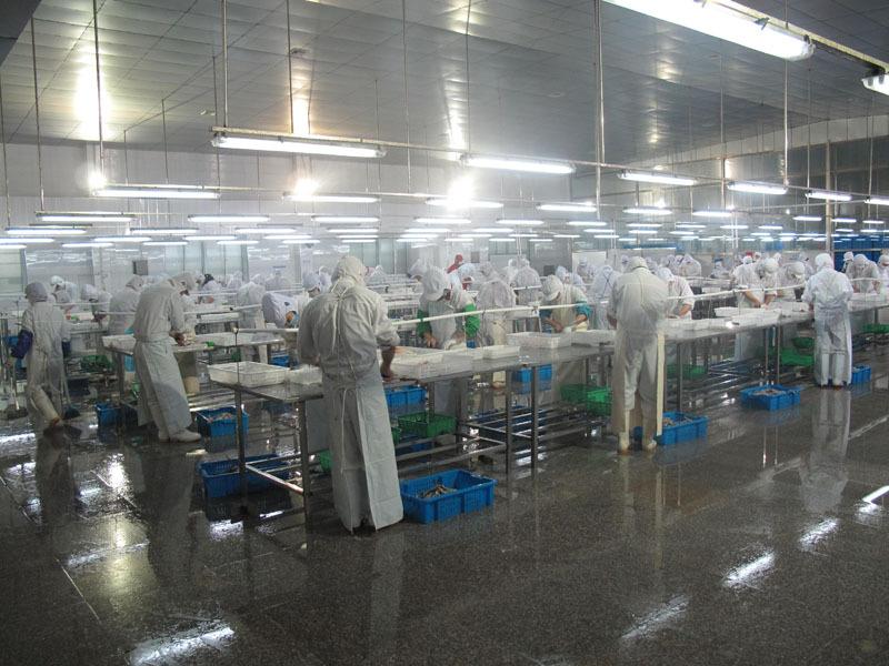 Verified China supplier - Dalian Zhui Foods Co., Ltd.