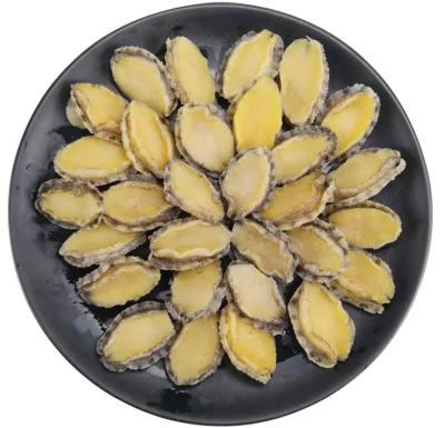 China Newest Hot Selling New Product Low Salt High Quality Seafood Fresh Frozen Cooked Abalone For Sale for sale