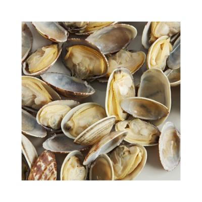 China Professional New Product Large Shell Frozen Clams Fully Raw 31-40PC/LB (41-50PC/500G) Manufacturing for sale