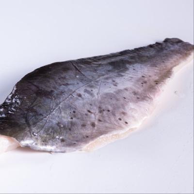 China 2022 Wholesale High Quality Seafood FROZEN Farming Frozen Fishing Channel Catfish Fillets for sale