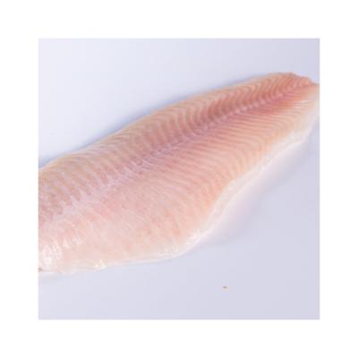 China New Arrival Best Price FROZEN Seafood Fresh Agricultural Frozen Fishing Channel Catfish Fillets for sale