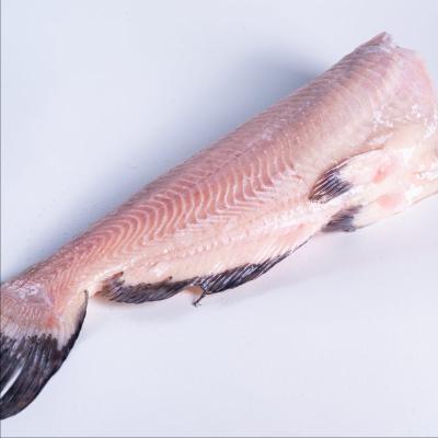 China Wholesale High Quality Commercial Seafood FROZEN Farming Frozen Prepared Fishing Catfish for sale