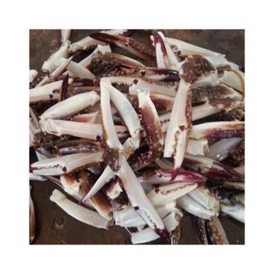 China Factory Price Custom Made Seafood Crab Claw Fully Stocked Frozen Claw for sale