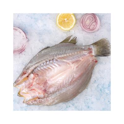 China High Quality Custom Fresh Tenderloin Barramundi Fully Cleaned Low Salt Frozen Butterfly for sale