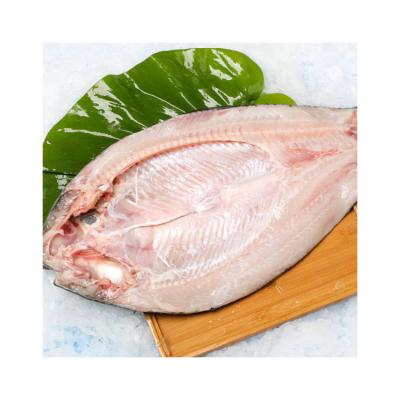 China Wholesale Price Low Salt New Product Per Kg Custom Seafood Fully Cleaned Frozen Butterfly Grass Carp for sale