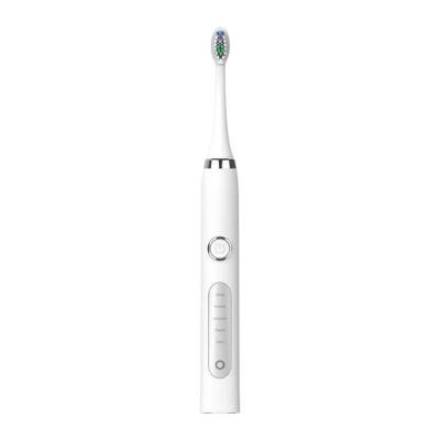 China Wholesale T1 Professional Luxury China Sonic Electric Adult Toothbrush Rechargeable T1 for sale