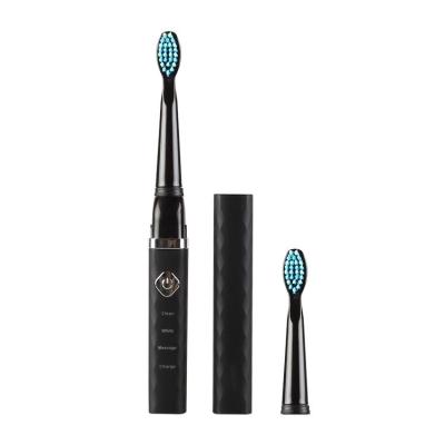 China New Adult Electric Toothbrush T1 Filling Waterproof Sonic Electric Toothbrush Electric Battery OEM T1 2021 for sale