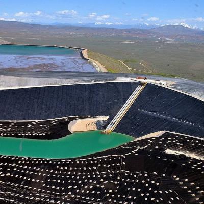 China Industrial High Quality Virgin Material Geomembrane Liner For Reinforced Dam for sale