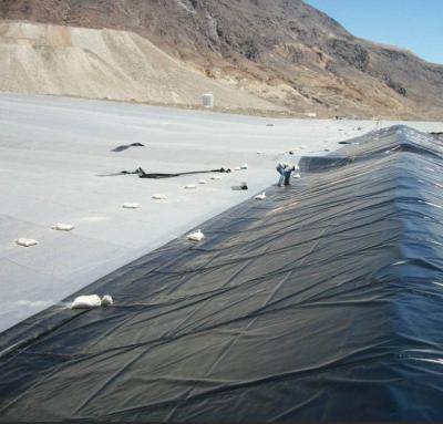 China Dawnview Low Price Industrial Anti-Seepage Plastic Sheet Waterproof Smooth Surface Geomembrane for sale